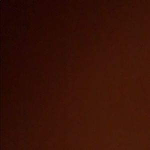 Meet your Posher, Raven